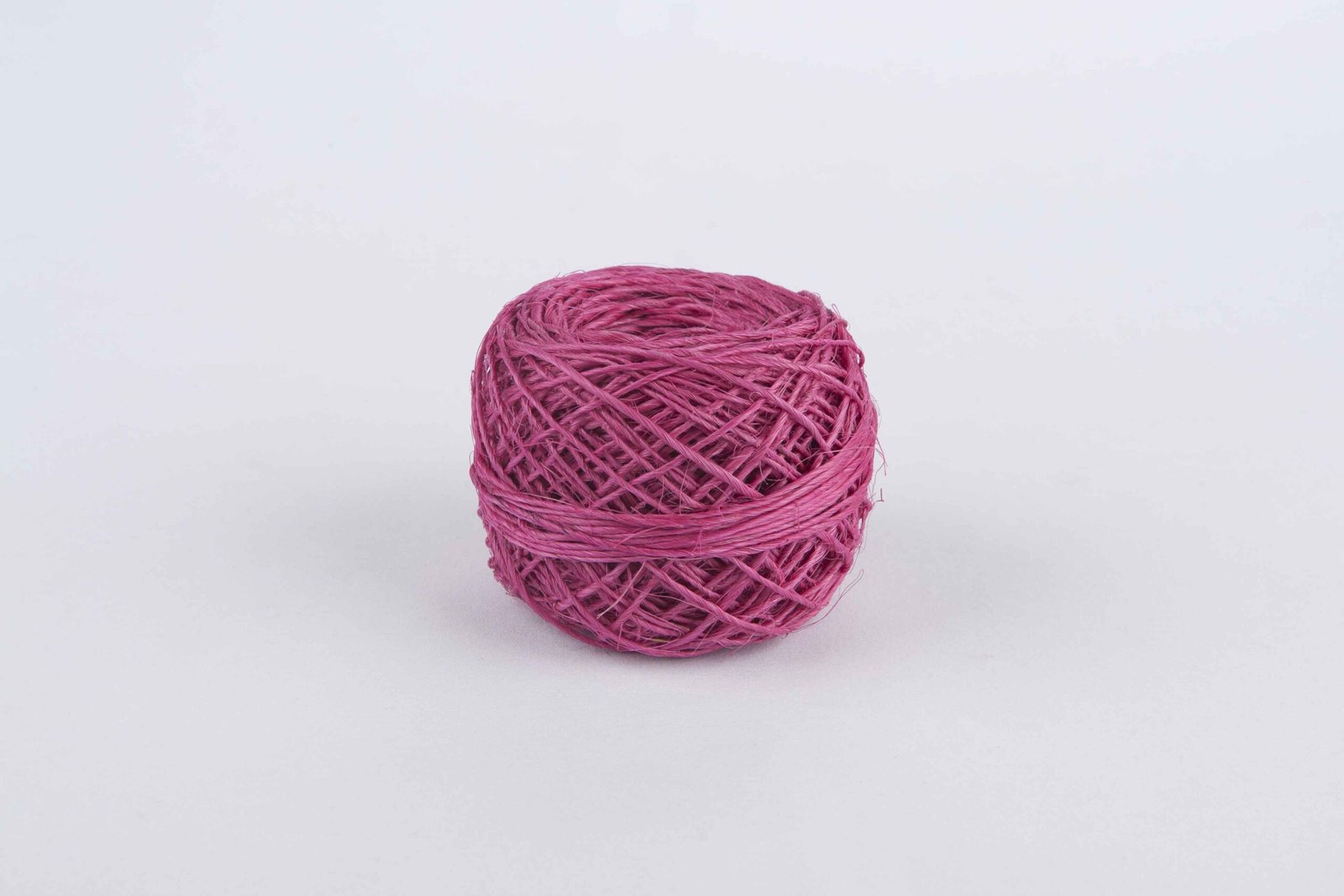 CABUYA FUCSIA