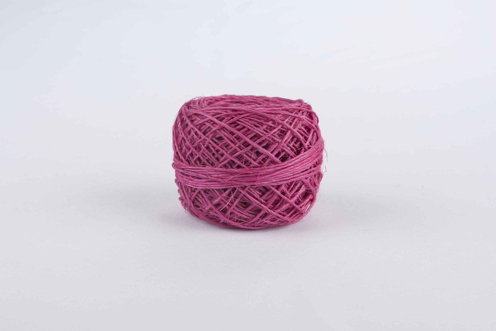CABUYA FUCSIA