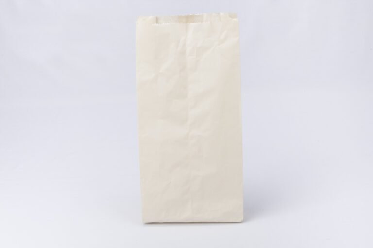 bolsa de papel