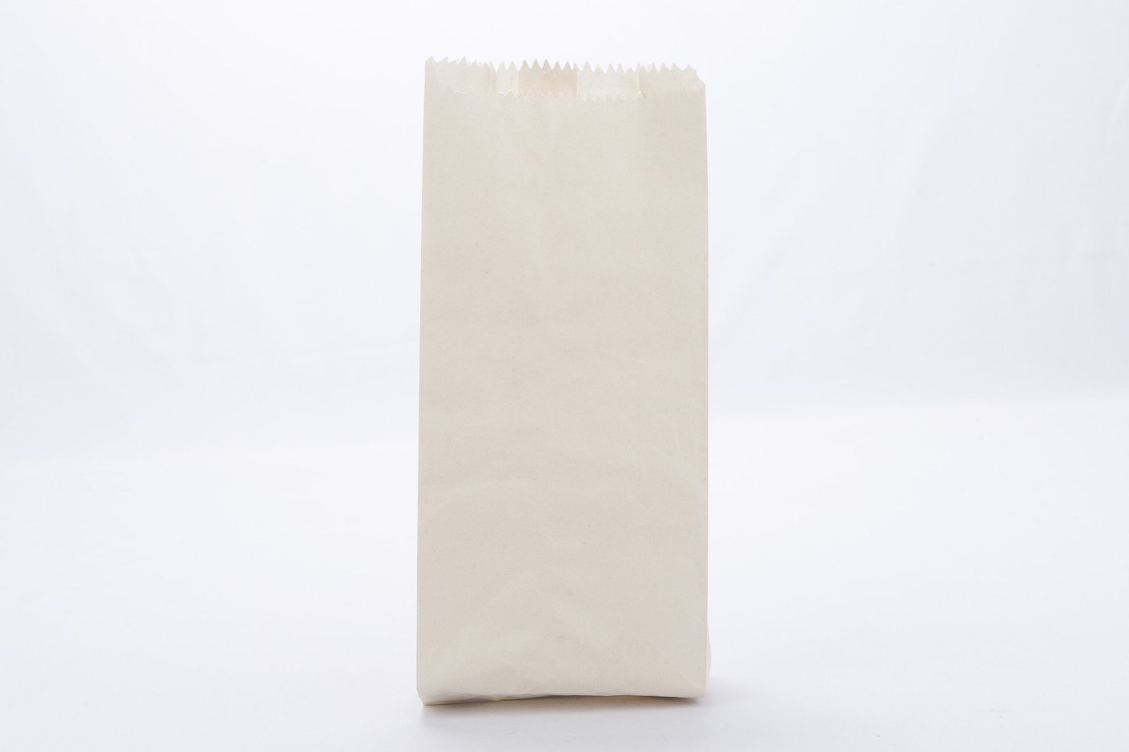 bolsa de papel