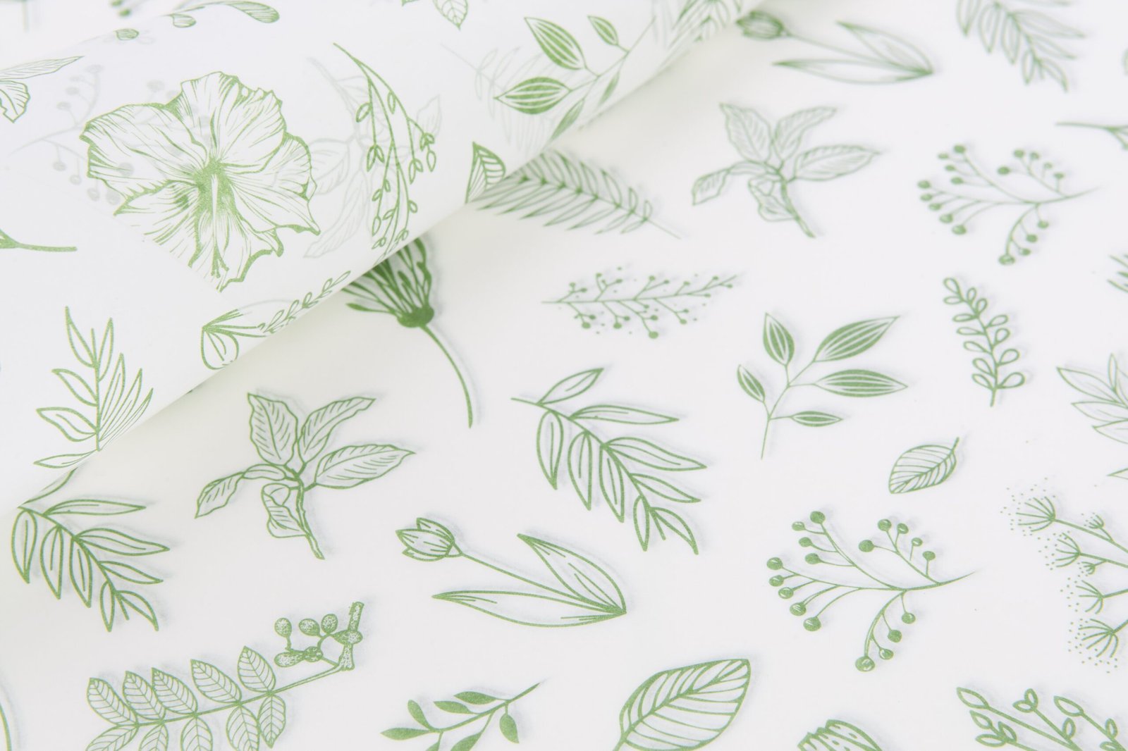 Papel Anti graso hojas