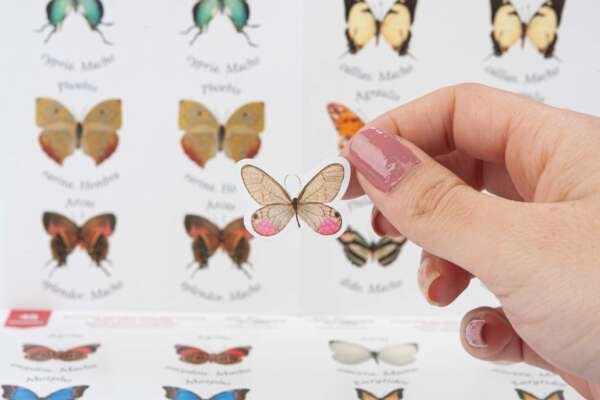 Sticker decorativo (Mariposas paquete x 48und)