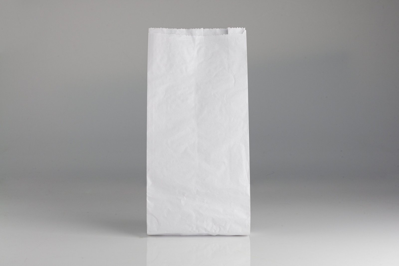 BOLSA DE PAPEL NACIONAL BLANCA 12 L