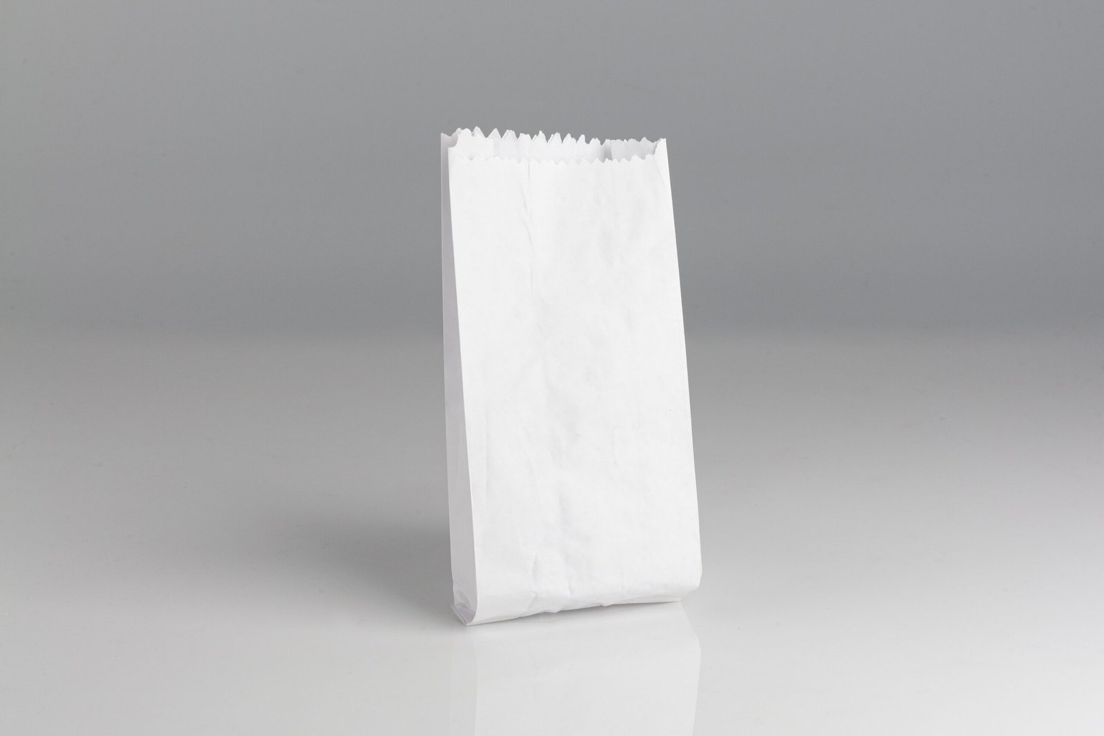 BOLSA DE PAPEL NACIONAL BLANCA 2 L