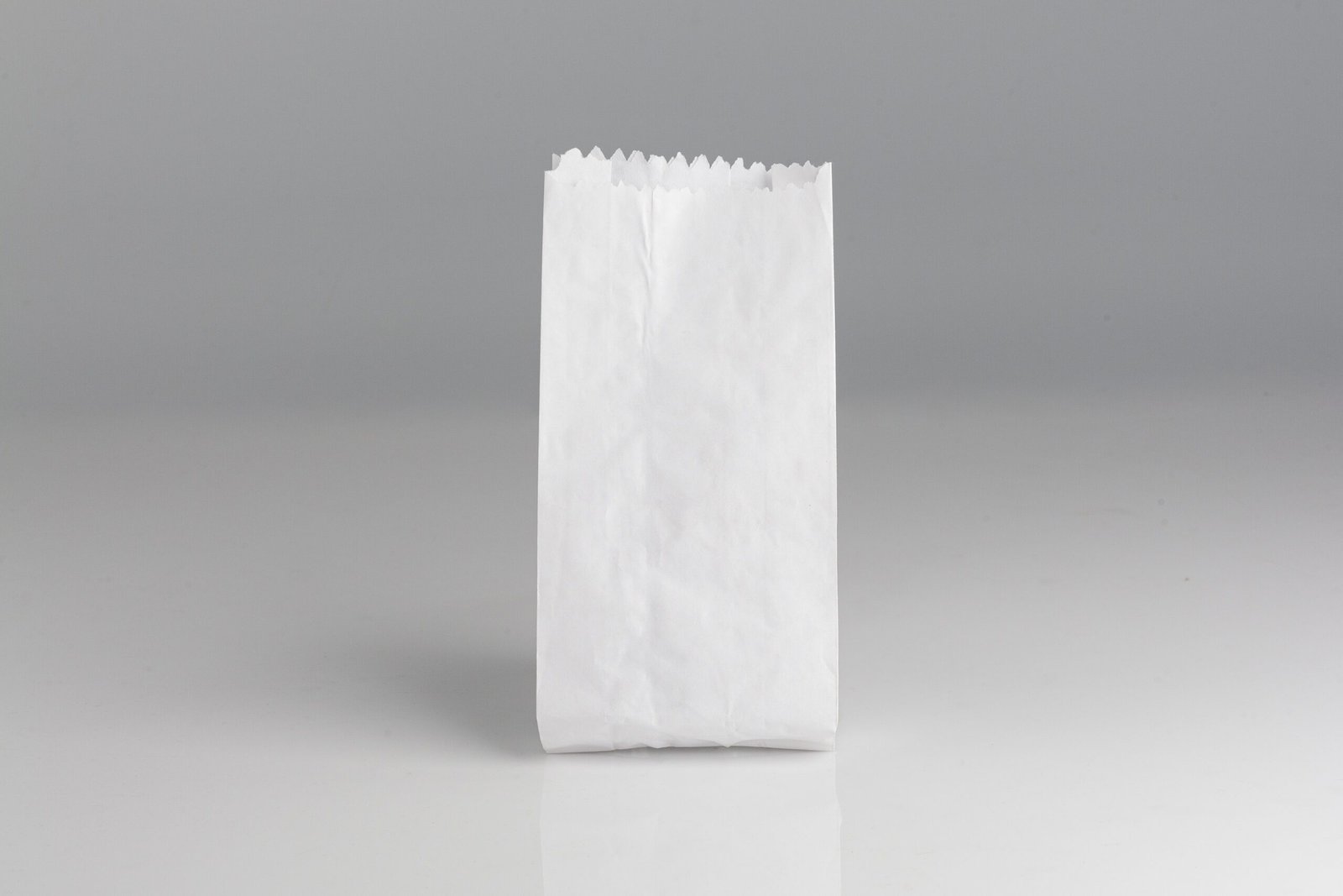 BOLSA DE PAPEL NACIONAL BLANCA 2 L