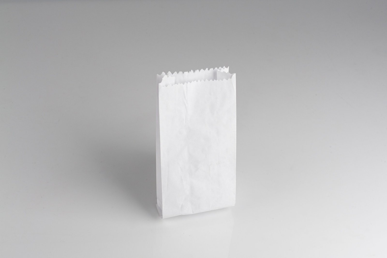 BOLSA DE PAPEL NACIONAL BLANCA 2 L