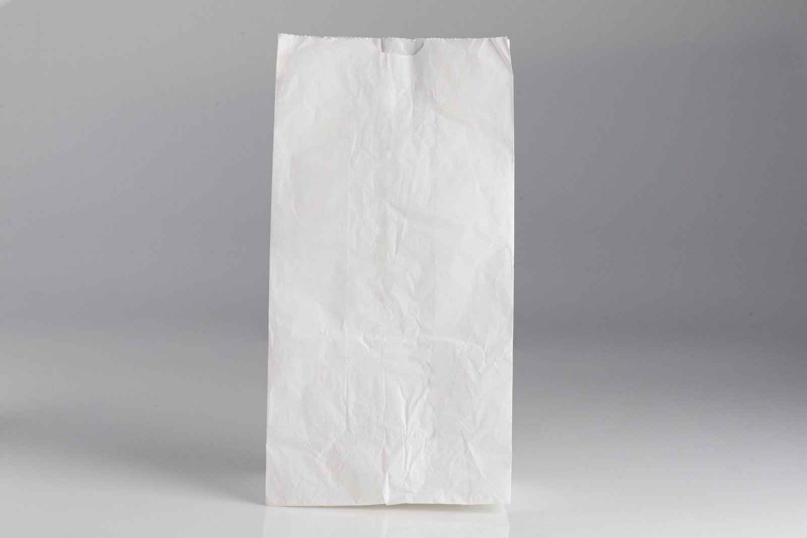 Bolsa de papel nacional antigraso blanca 12 L