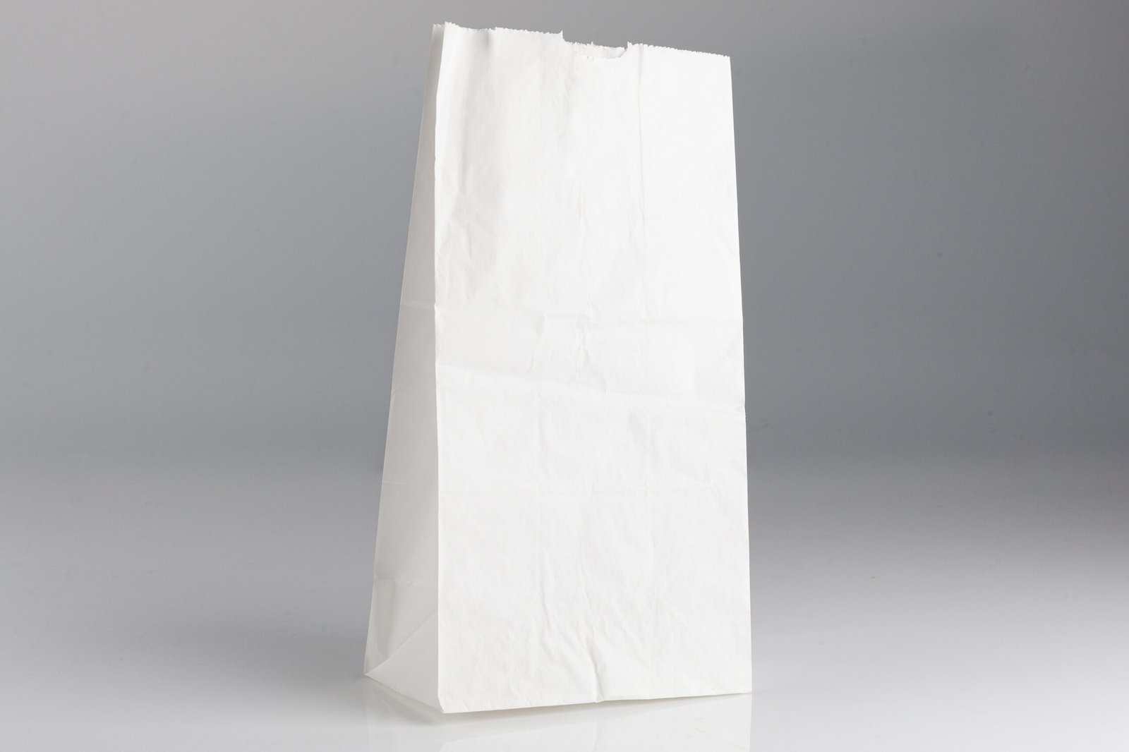 Bolsa de papel nacional antigraso blanca 12 L