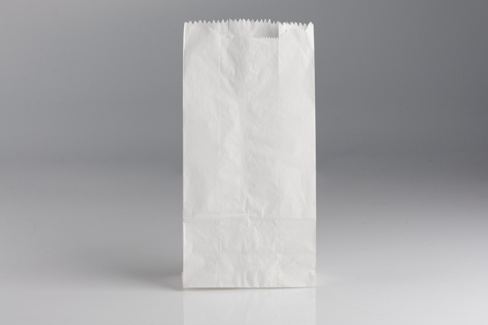 Bolsa de papel nacional antigraso blanca 6 L