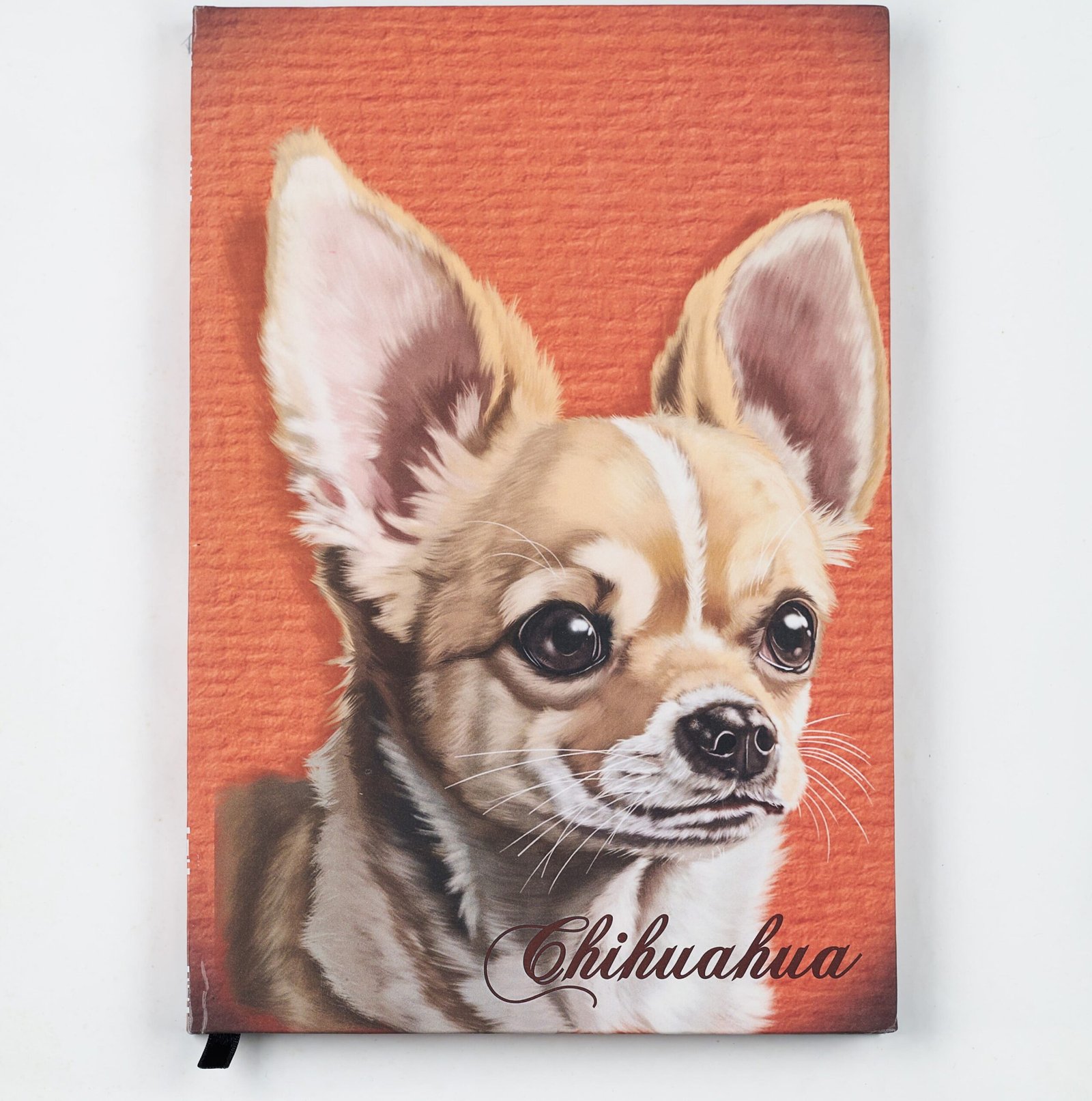 agenda tipo cuaderno chihuahua agenda tipo cuaderno chihuahua