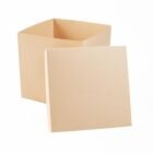 Caja de cartón base y tapa 20x20x20 cm